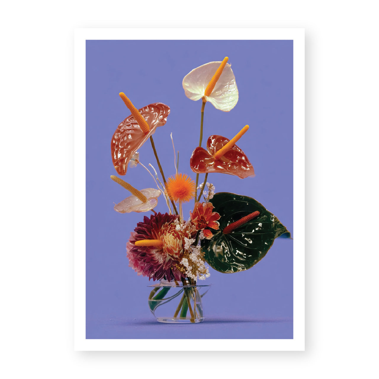 Flora Specimen Print