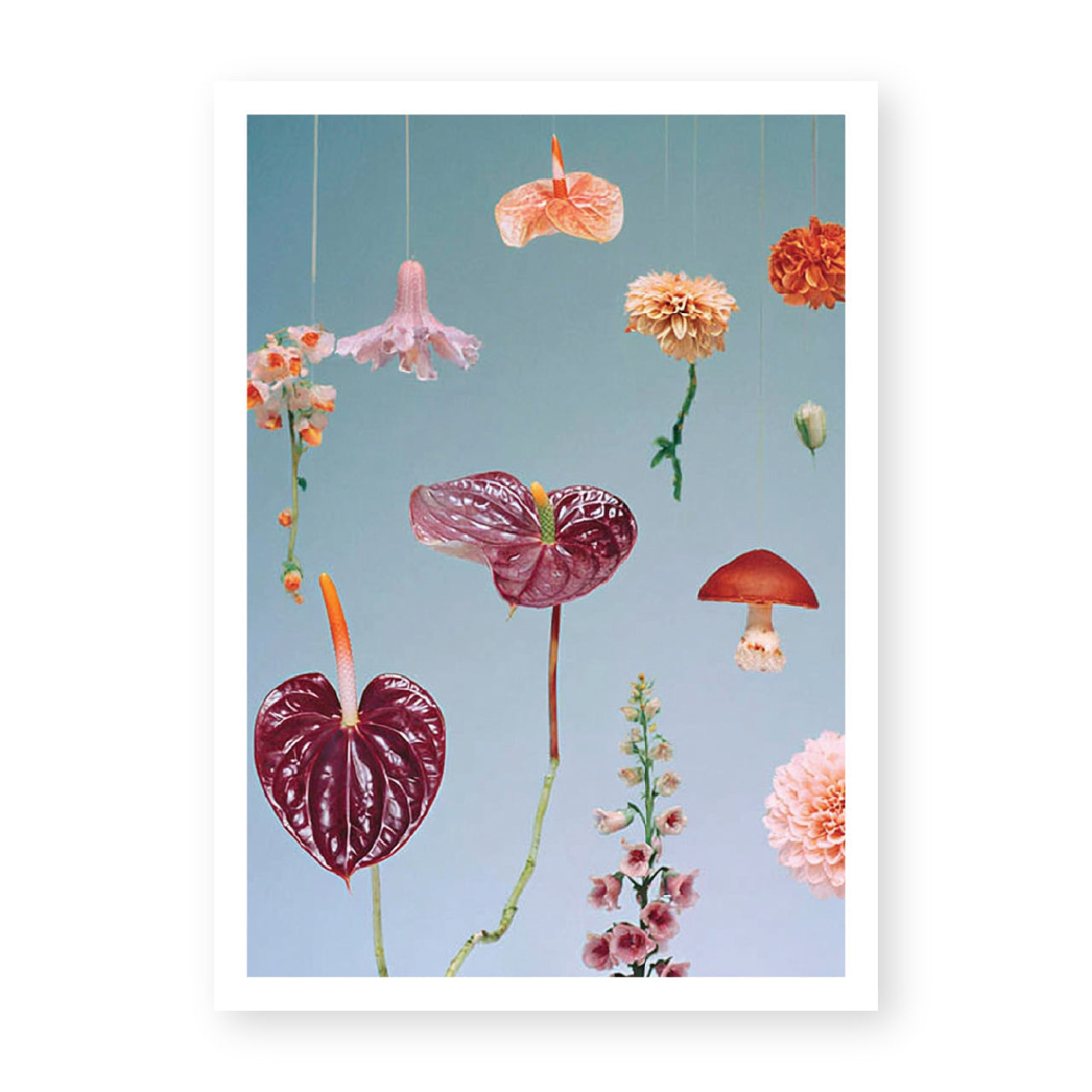 Flora Monograph Print