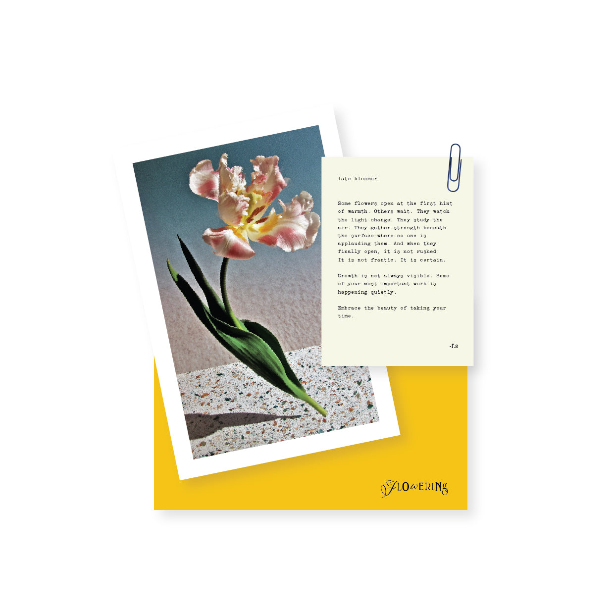 Flowering Mail Club Subscription