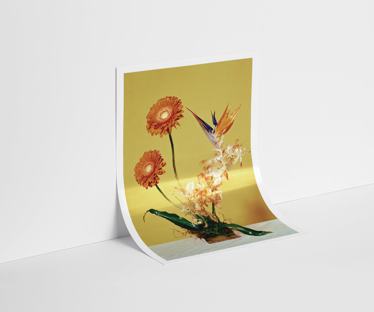 Muted Magnolia Study