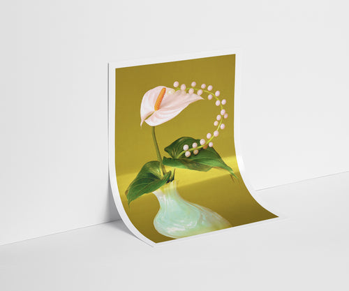 Alabaster Bloom Art Print